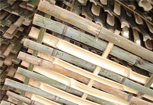 南陽竹笆廠家圣卓建材 專業(yè)打造優(yōu)質(zhì)建筑竹笆材料