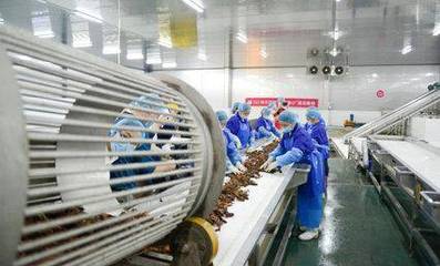 科技賦能鮮味體驗 每日優鮮小龍蝦節開啟，超聲技術驅動生鮮開發新篇章