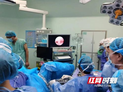 專注超聲技術(shù) 江灣醫(yī)院赴云南大學(xué)附屬醫(yī)院共享建院95周年學(xué)術(shù)會議成果